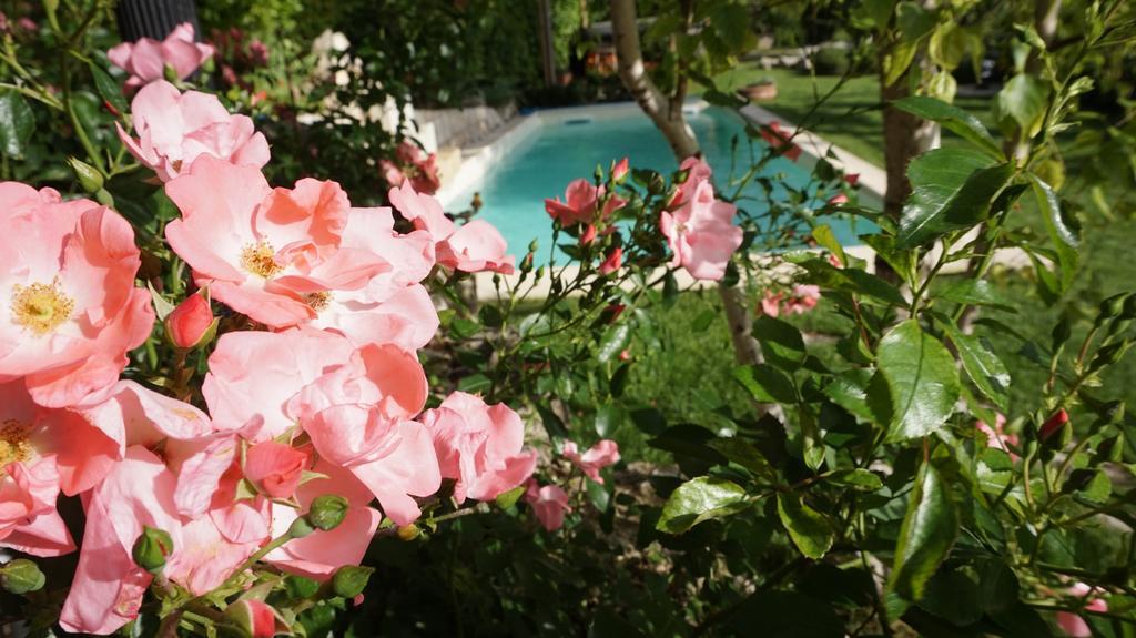 Bed and Breakfast Mary'S Dream Manoppello Exterior foto